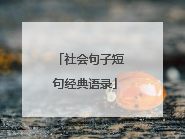 社会句子短句经典语录