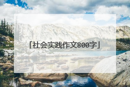社会实践作文800字