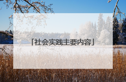 社会实践主要内容
