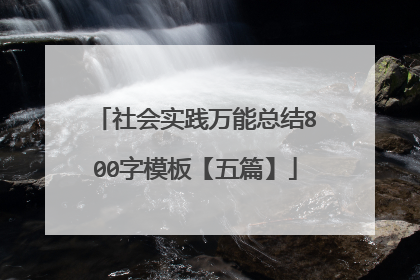社会实践万能总结800字模板【五篇】