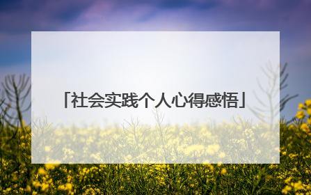 社会实践个人心得感悟