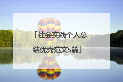 社会实践个人总结优秀范文5篇