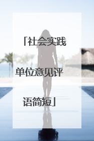社会实践单位意见评语简短