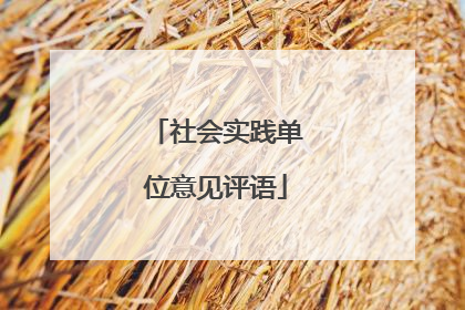 社会实践单位意见评语