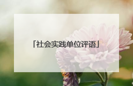 社会实践单位评语