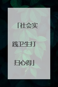 社会实践卫生打扫心得