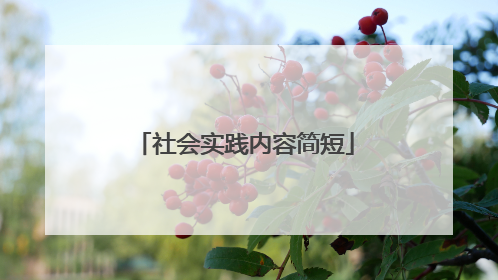 社会实践内容简短