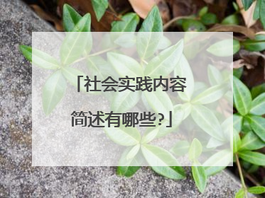 社会实践内容简述有哪些?