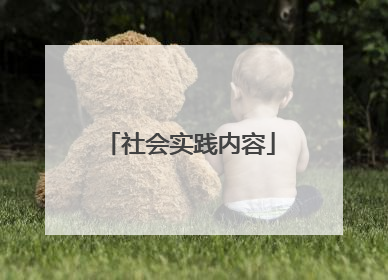 社会实践内容