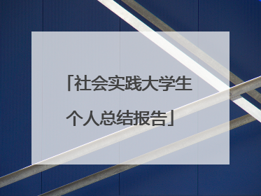 社会实践大学生个人总结报告