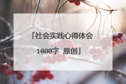 社会实践心得体会1000字 原创