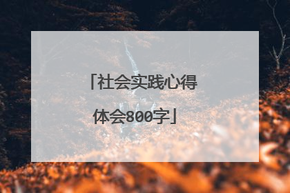 社会实践心得体会800字