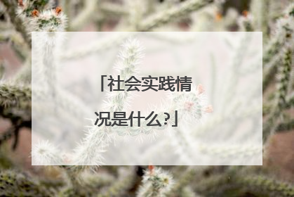 社会实践情况是什么?