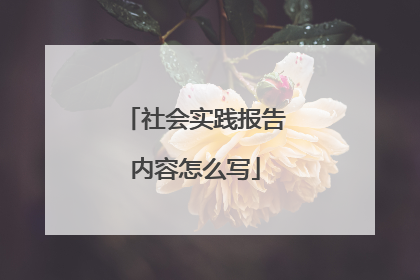 社会实践报告内容怎么写