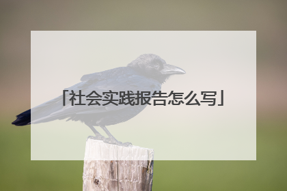 社会实践报告怎么写