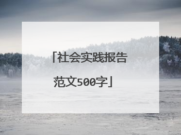 社会实践报告范文500字