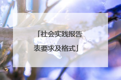 社会实践报告表要求及格式