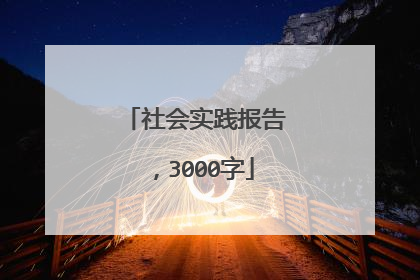 社会实践报告,3000字