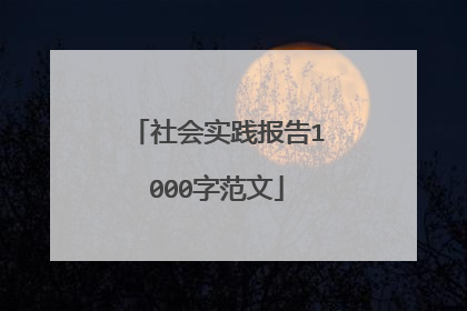 社会实践报告1000字范文