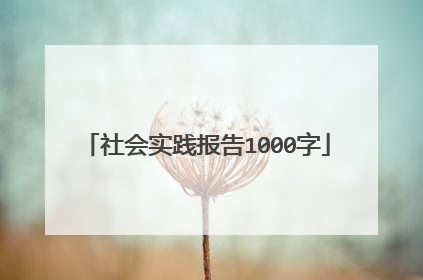 社会实践报告1000字