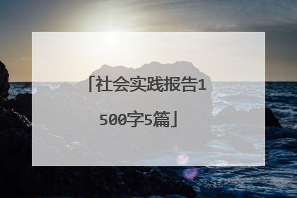 社会实践报告1500字5篇