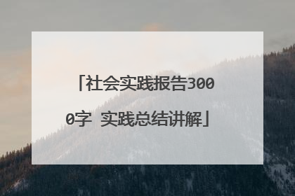 社会实践报告3000字 实践总结讲解