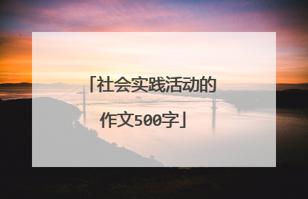 社会实践活动的作文500字