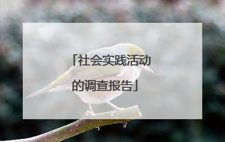 社会实践活动的调查报告