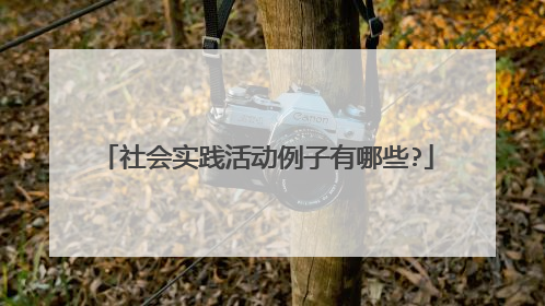 社会实践活动例子有哪些?