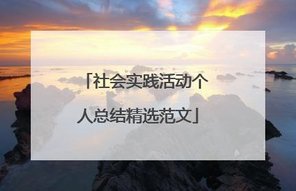 社会实践活动个人总结精选范文