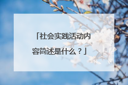 社会实践活动内容简述是什么？