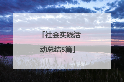 社会实践活动总结5篇