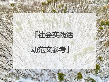 社会实践活动范文参考