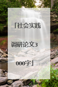 社会实践调研论文3000字