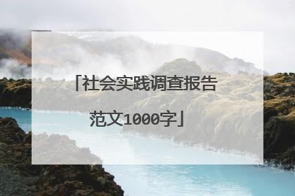 社会实践调查报告范文1000字