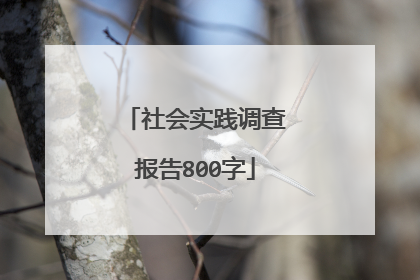 社会实践调查报告800字