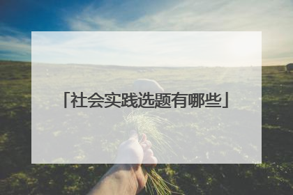 社会实践选题有哪些