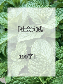 社会实践100字