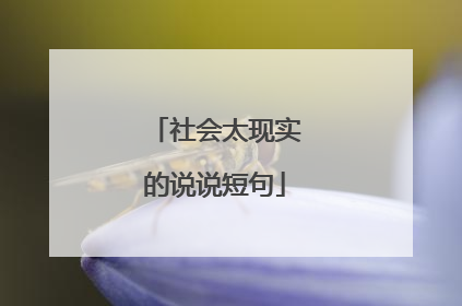 社会太现实的说说短句