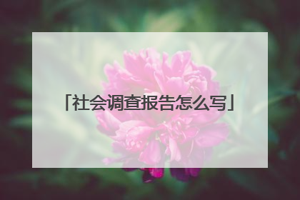 社会调查报告怎么写