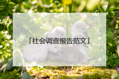社会调查报告范文