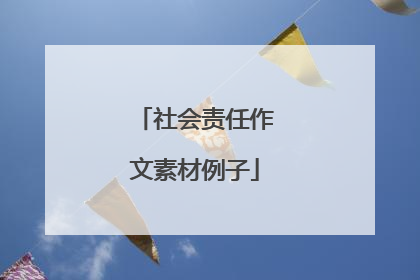 社会责任作文素材例子