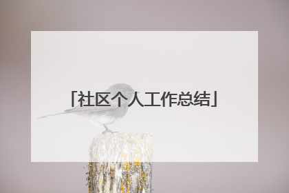 社区个人工作总结