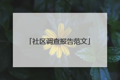 社区调查报告范文
