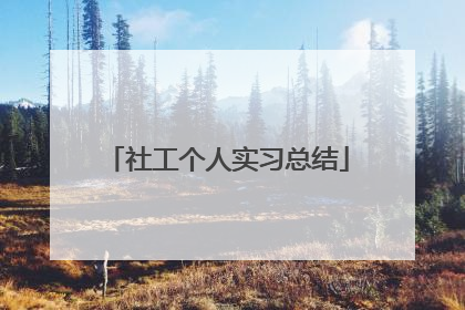 社工个人实习总结