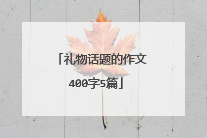 礼物话题的作文400字5篇