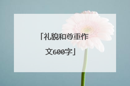 礼貌和尊重作文600字
