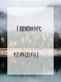 祼婚时代经典语句