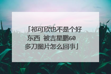 祁可欣也不是个好东西 被吉星鹏60多刀图片怎么回事