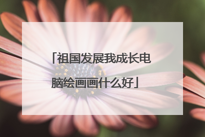 祖国发展我成长电脑绘画画什么好